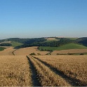 The South Downs After HARVEST